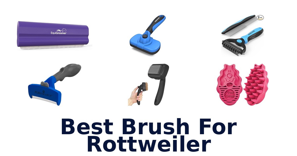 best brush for rottweiler