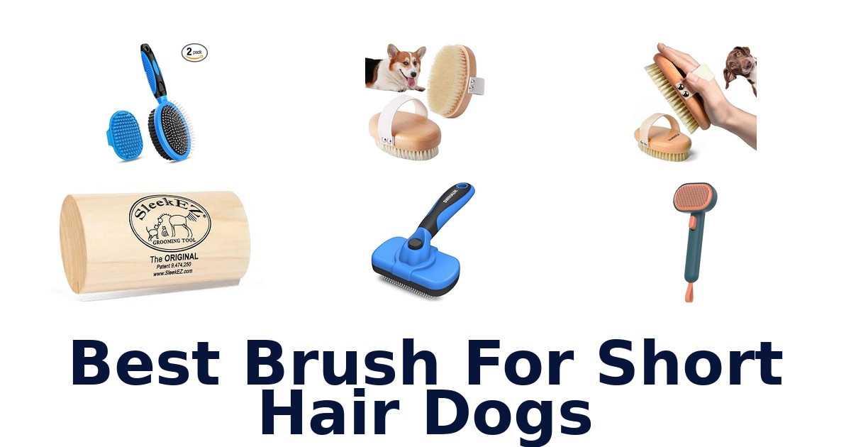 best brush for short hair dogs