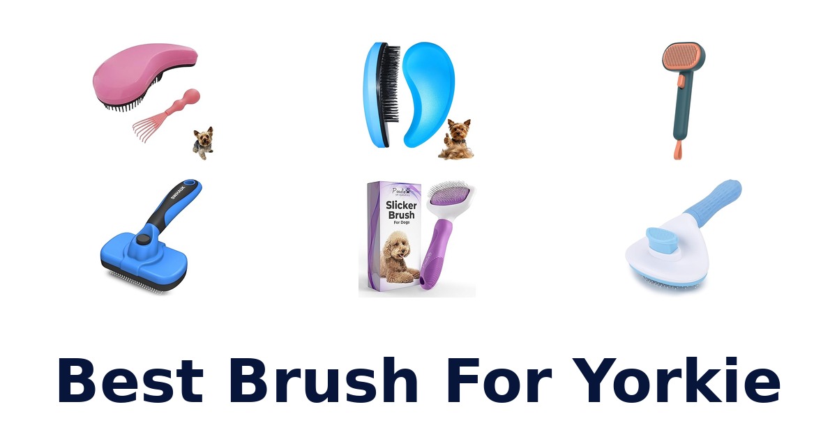 best brush for yorkie