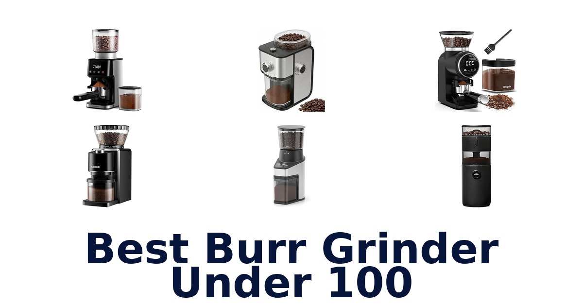 best burr grinder under 100