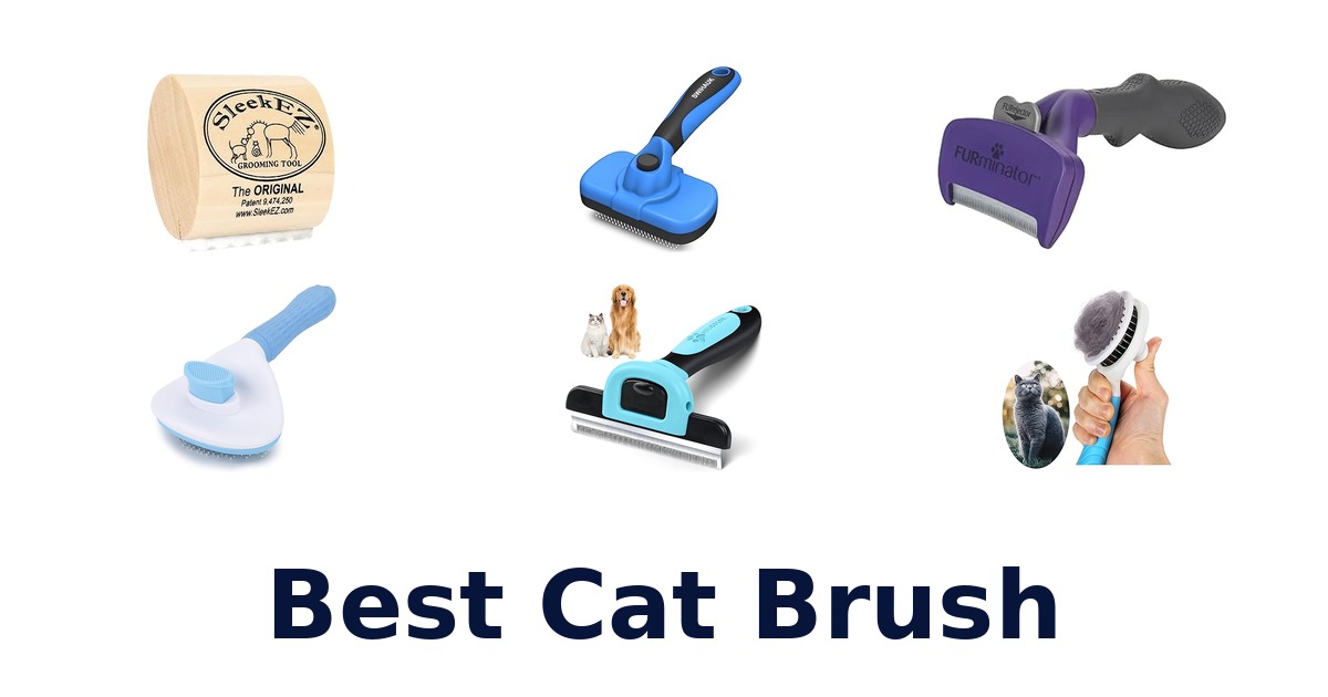 best cat brush