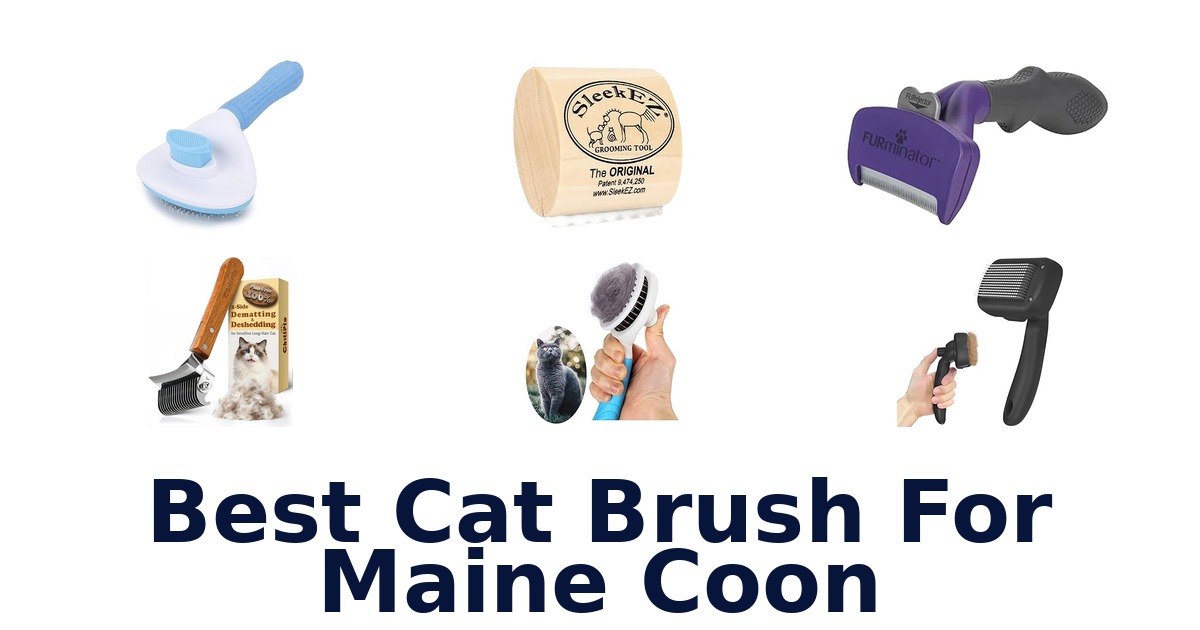 best cat brush for maine coon