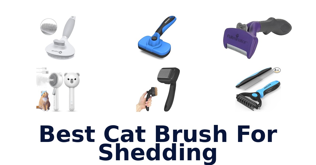 best cat brush for shedding