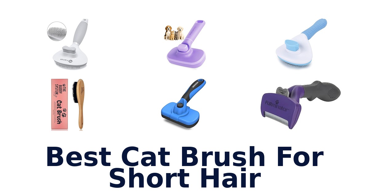 best cat brush for short hair