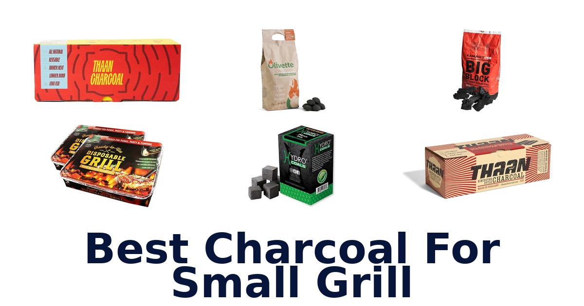 best charcoal for small grill