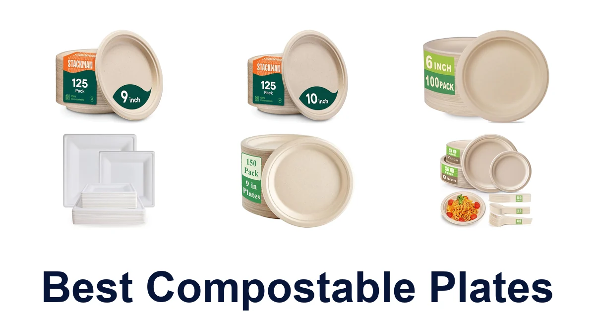 Best Compostable Plates: Top 10 Eco-Friendly Picks