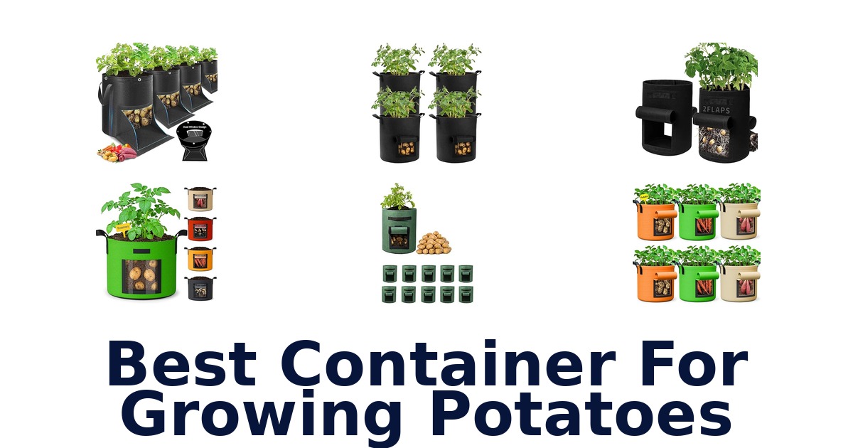 best container for growing potatoes