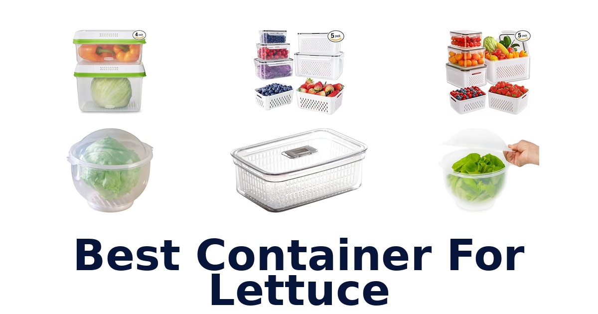 best container for lettuce