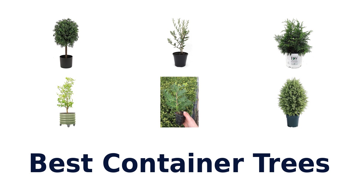 best container trees