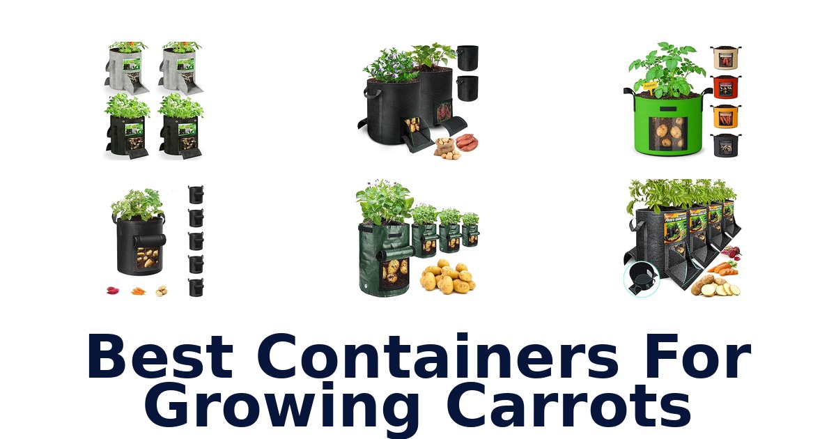 best containers for growing carrots