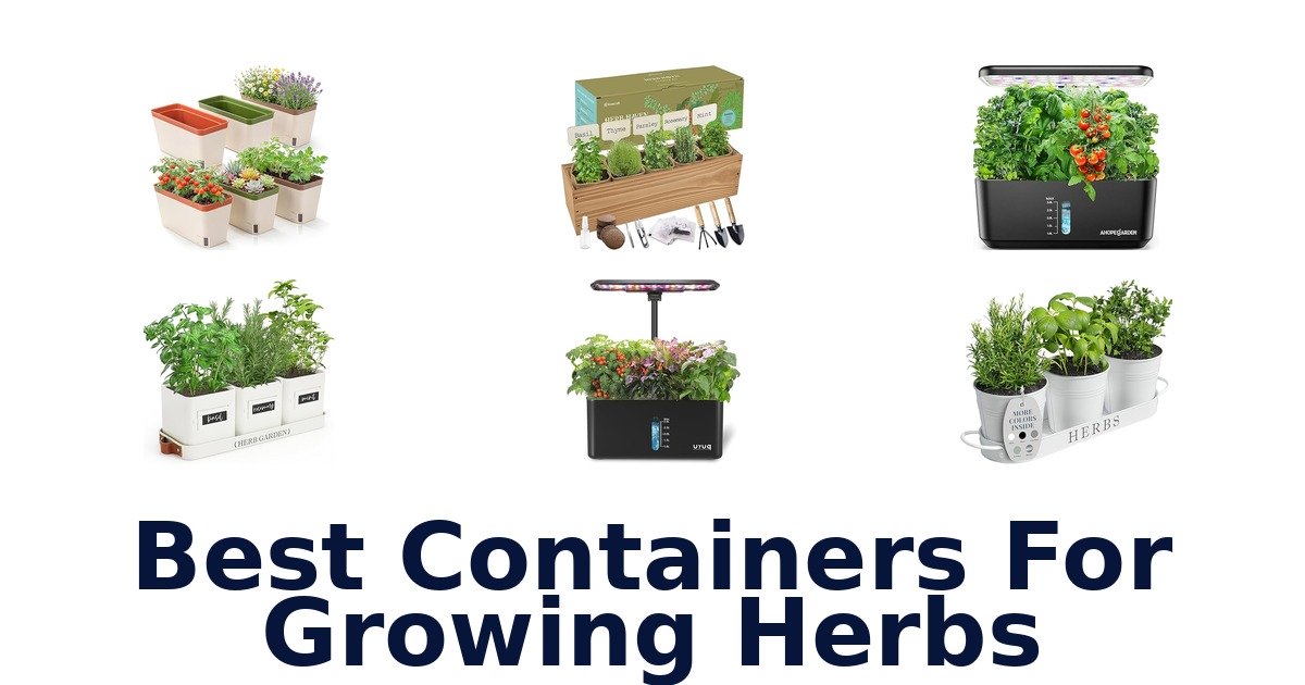 best containers for growing herbs