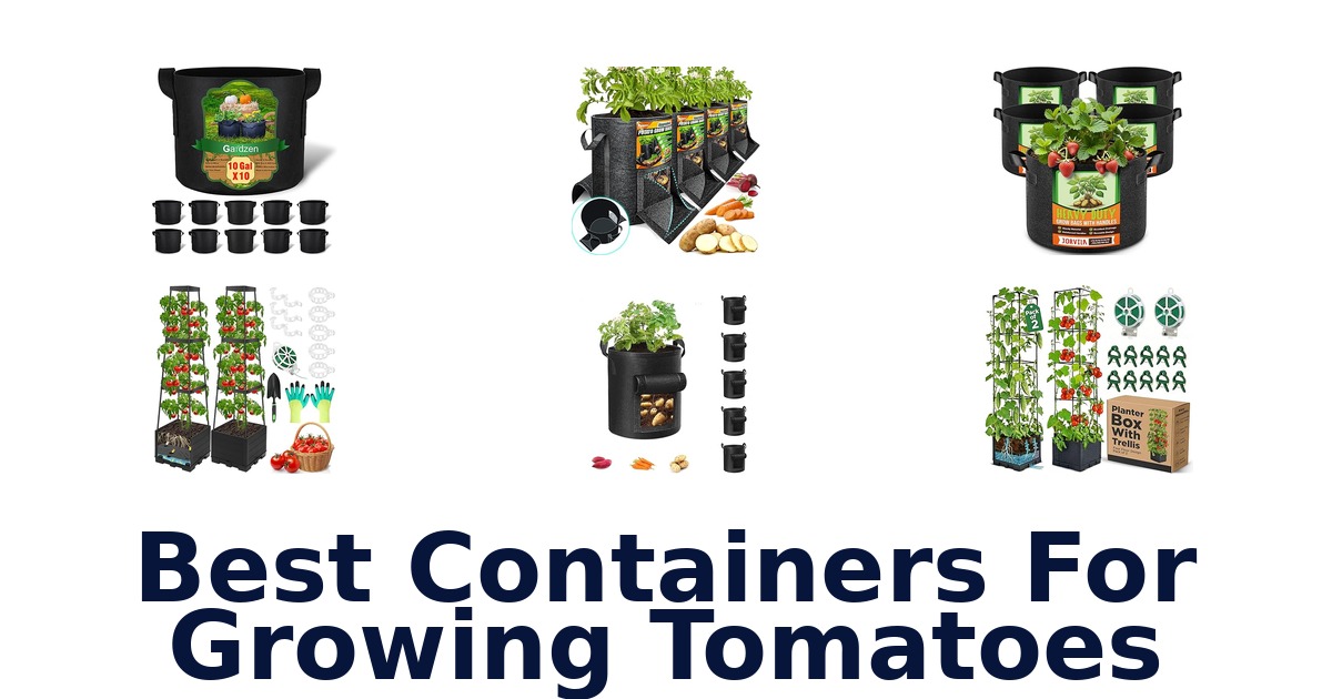 best containers for growing tomatoes