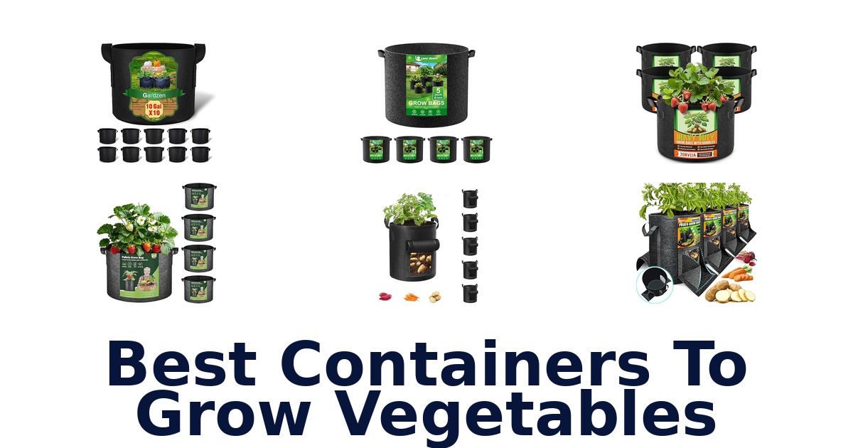 best containers to grow vegetables