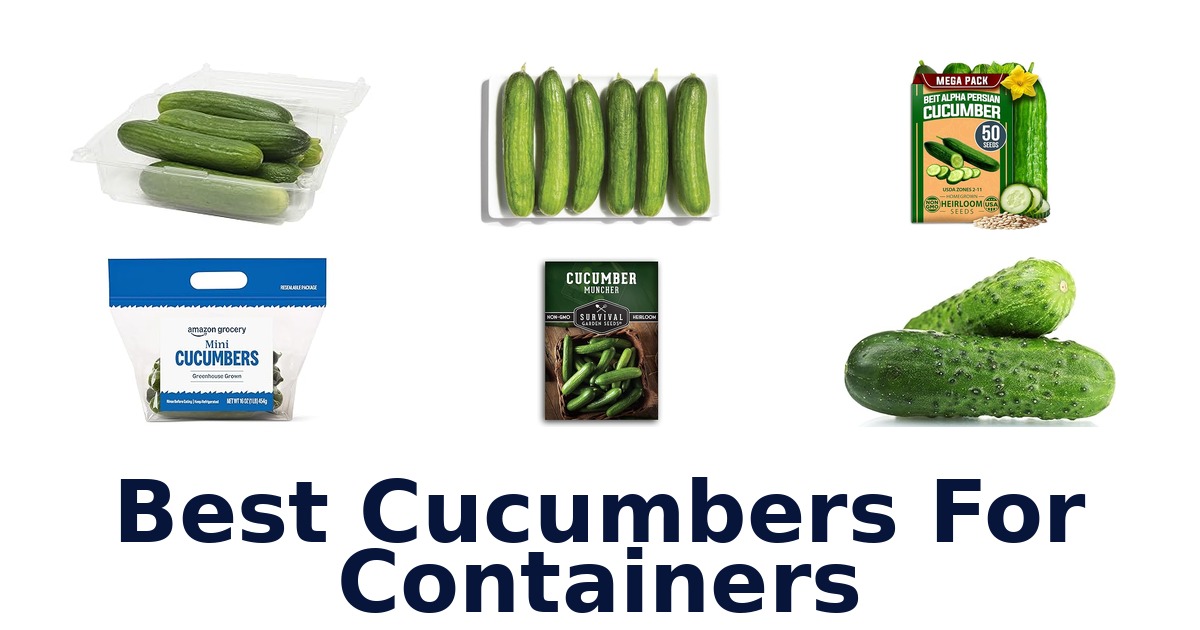 best cucumbers for containers