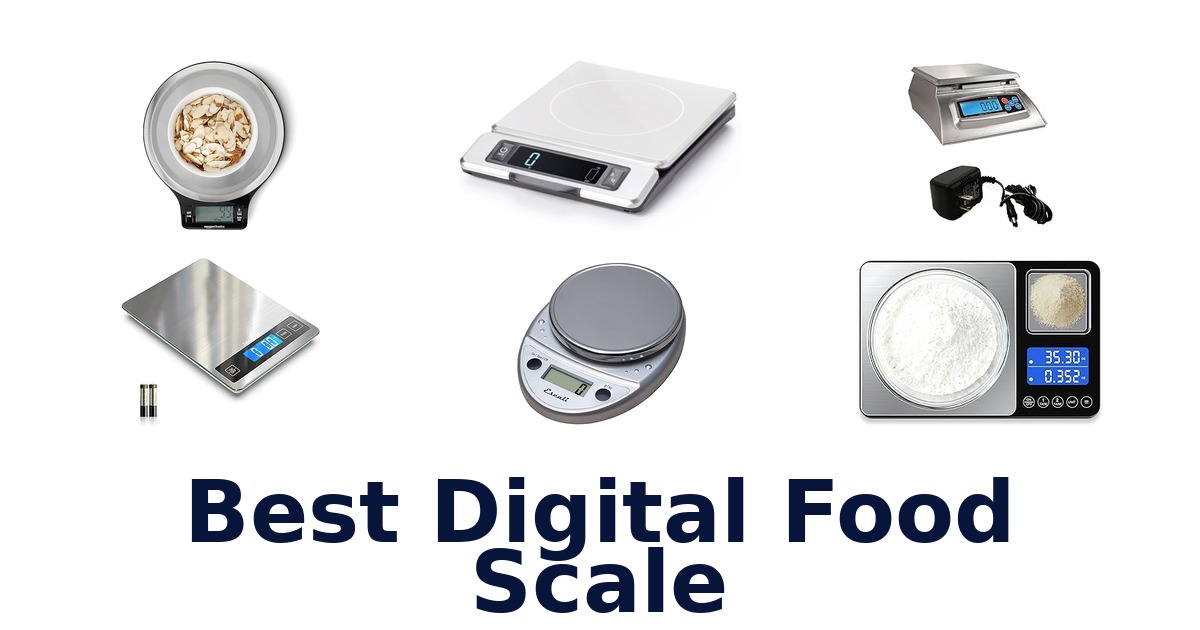 best digital food scale