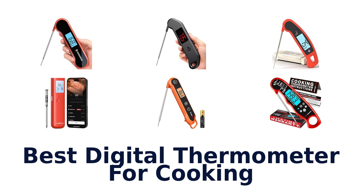 best digital thermometer for cooking