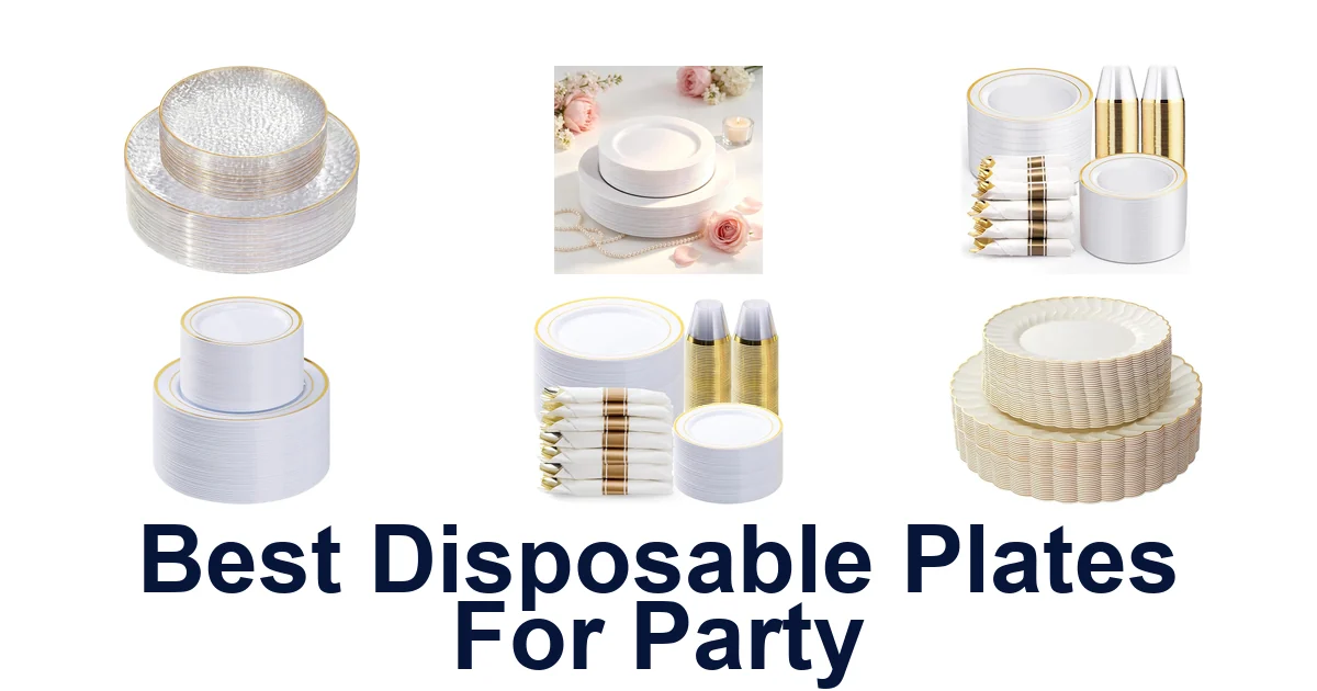 BEST Disposable Plates for Party: Top 10 Picks