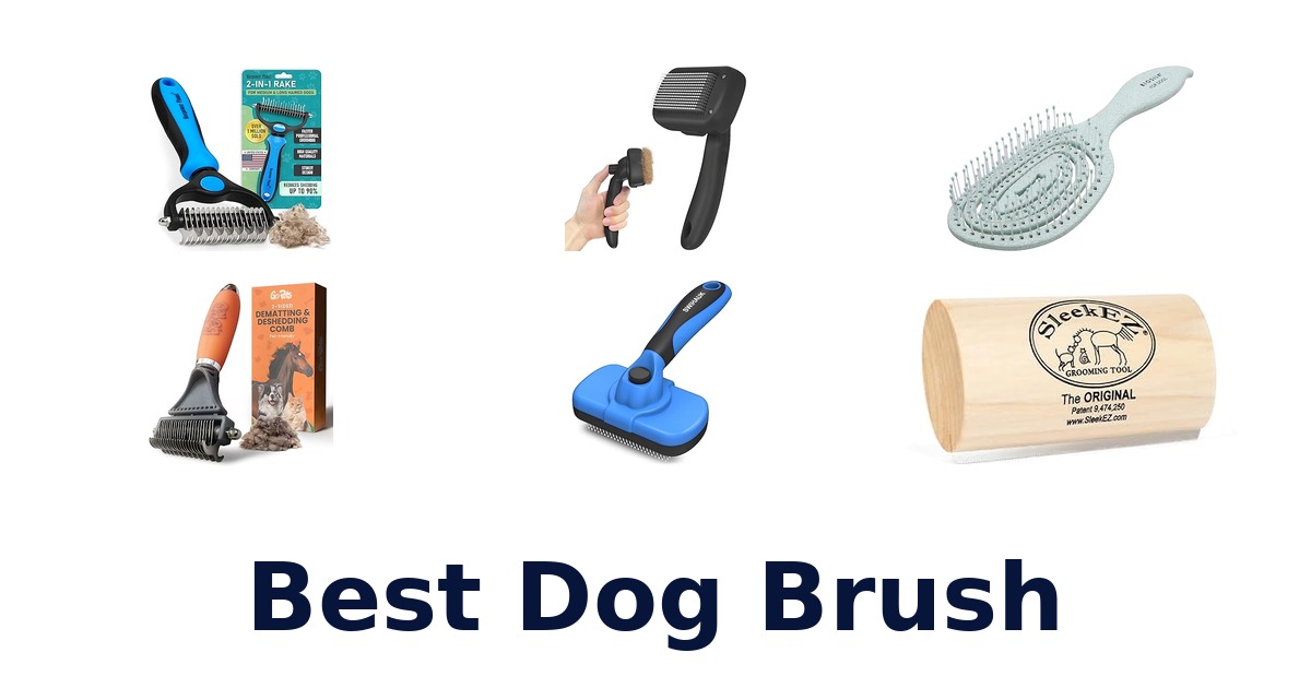 best dog brush