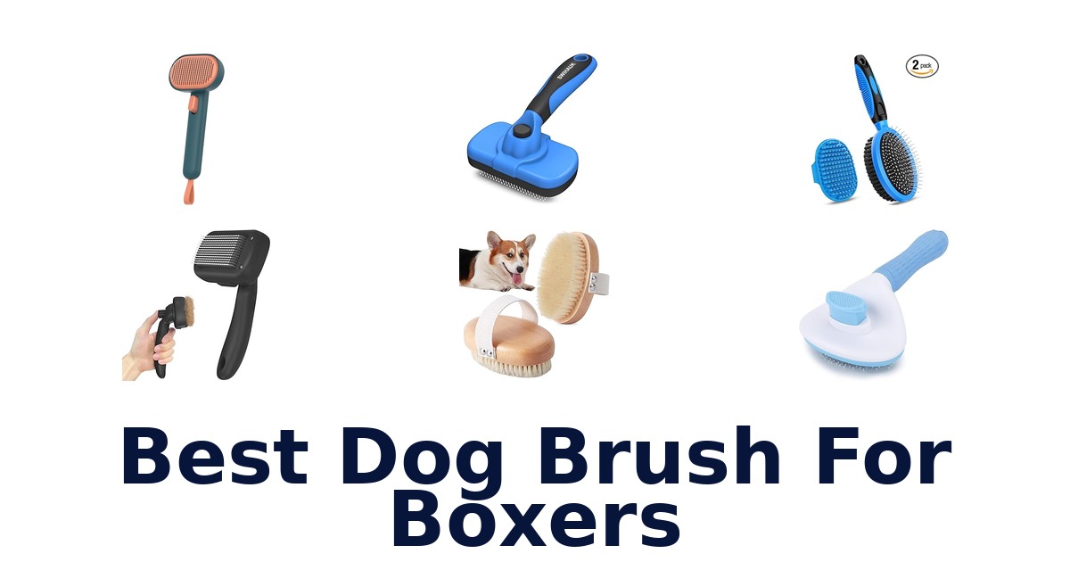 best dog brush for boxers
