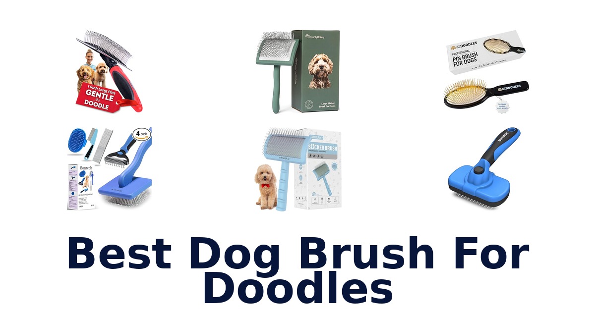best dog brush for doodles