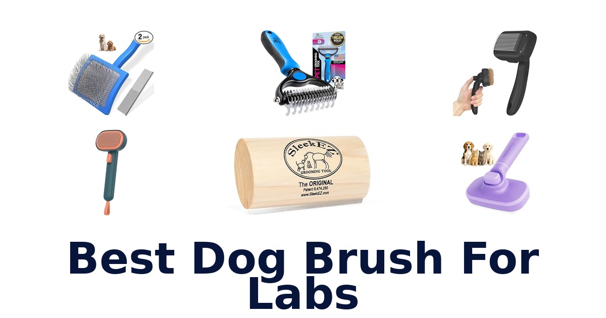 best dog brush for labs