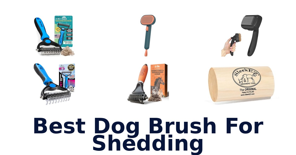 best dog brush for shedding