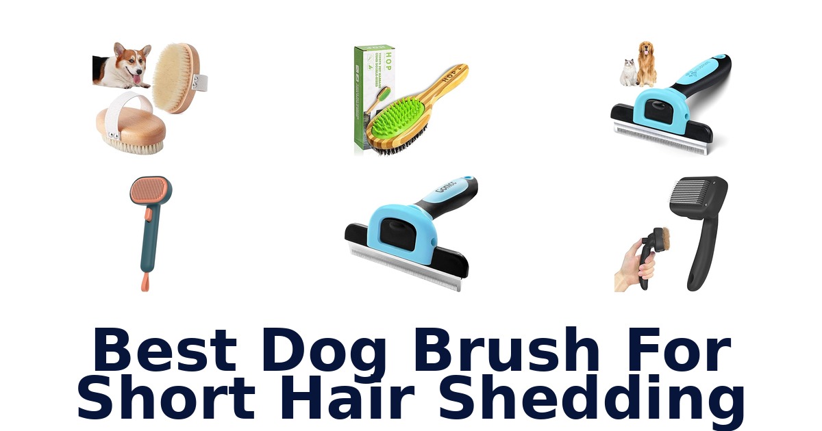 best dog brush for short hair shedding