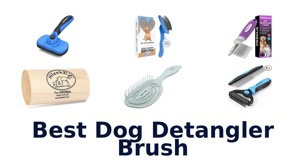 best dog detangler brush