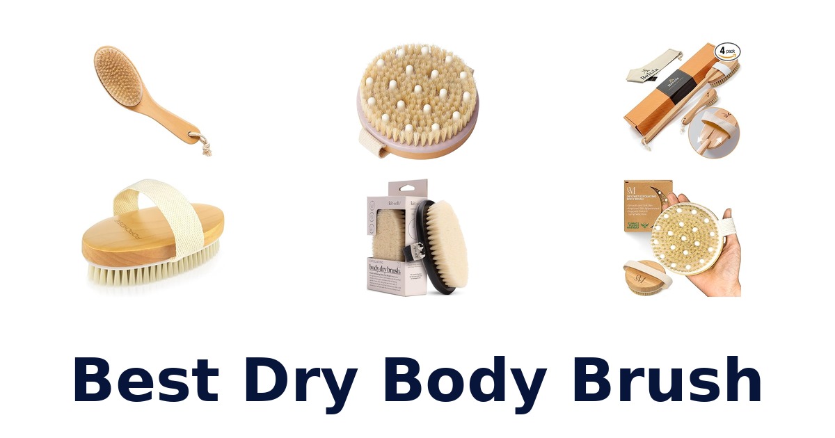 best dry body brush