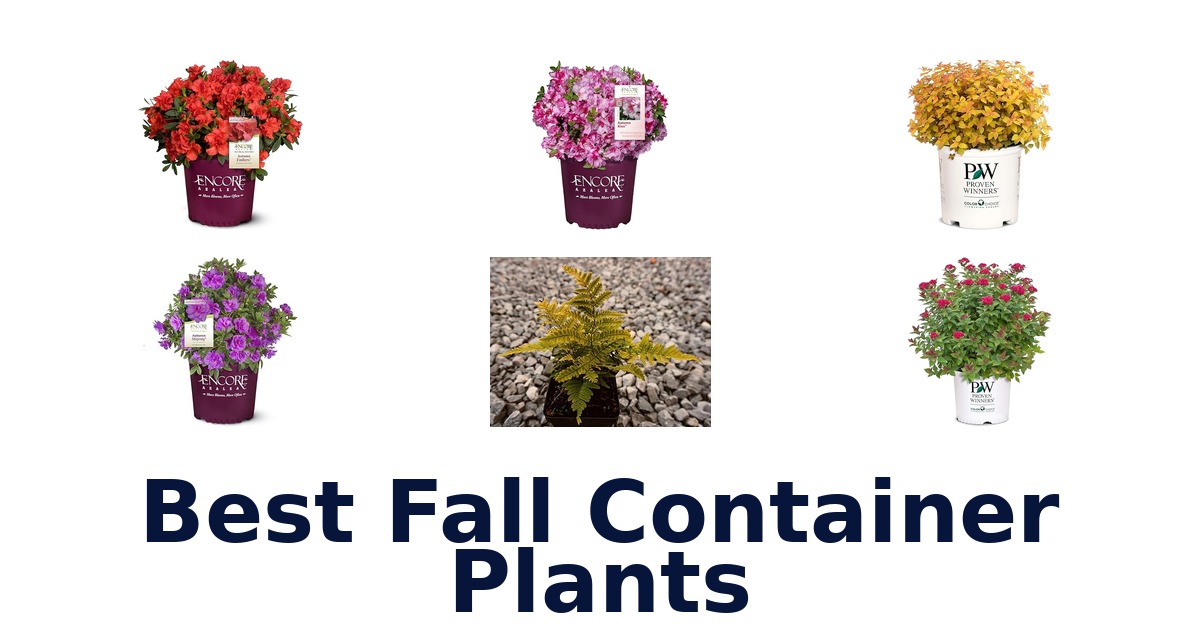 best fall container plants