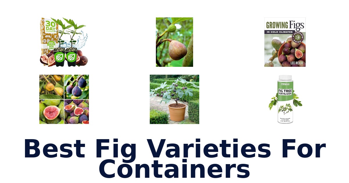 best fig varieties for containers