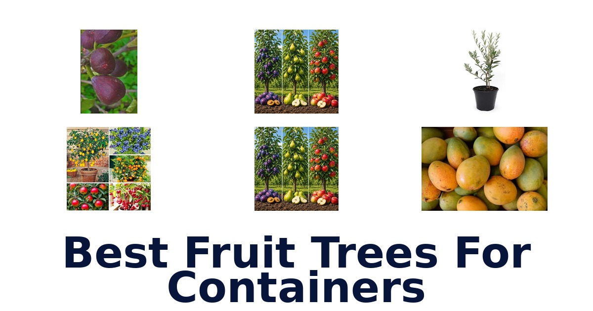 best fruit trees for containers