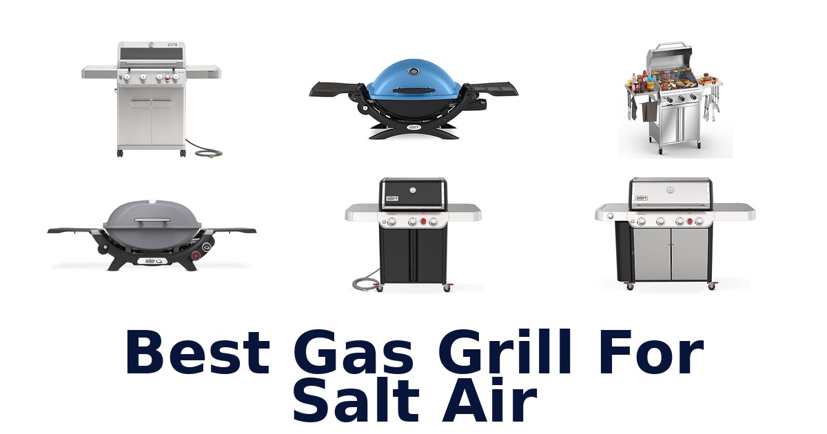 best gas grill for salt air