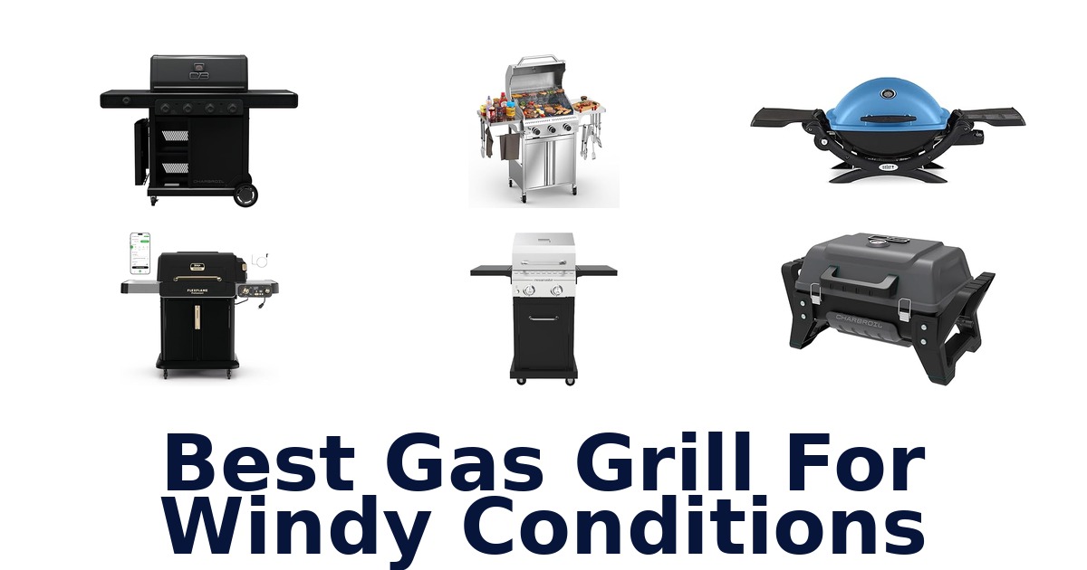 best gas grill for windy conditions
