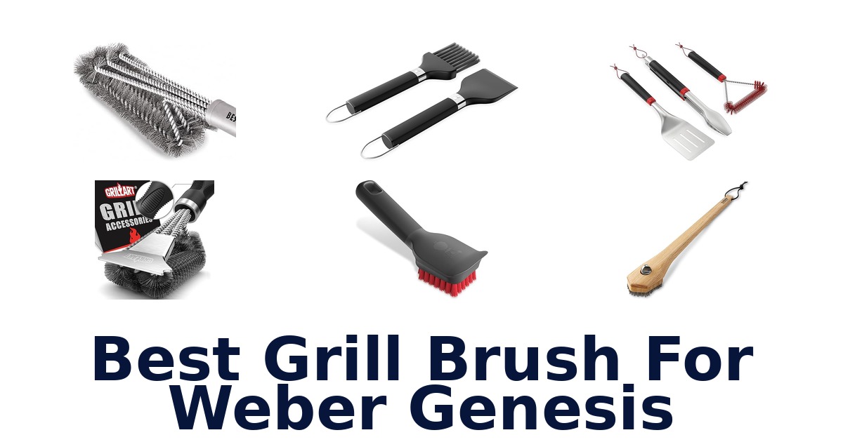 best grill brush for weber genesis