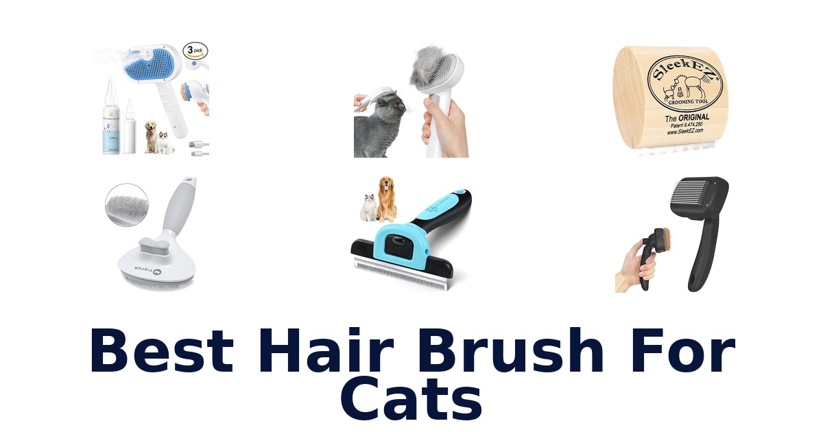 best hair brush for cats