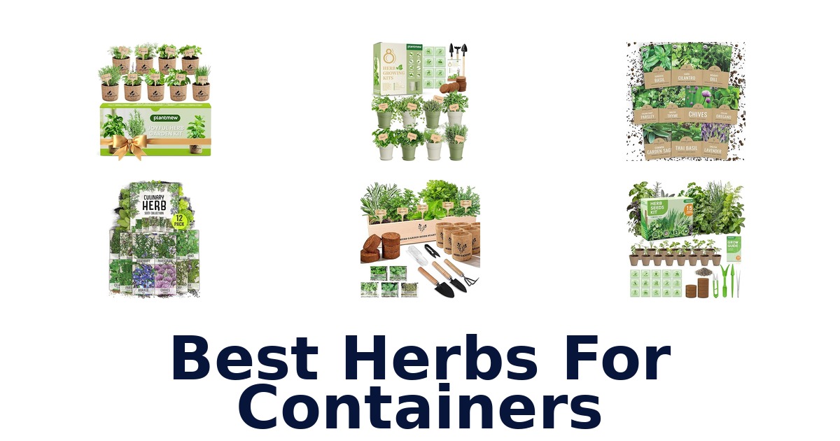 best herbs for containers