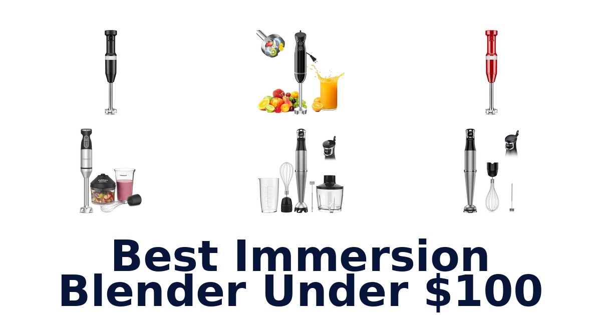 best immersion blender under $100