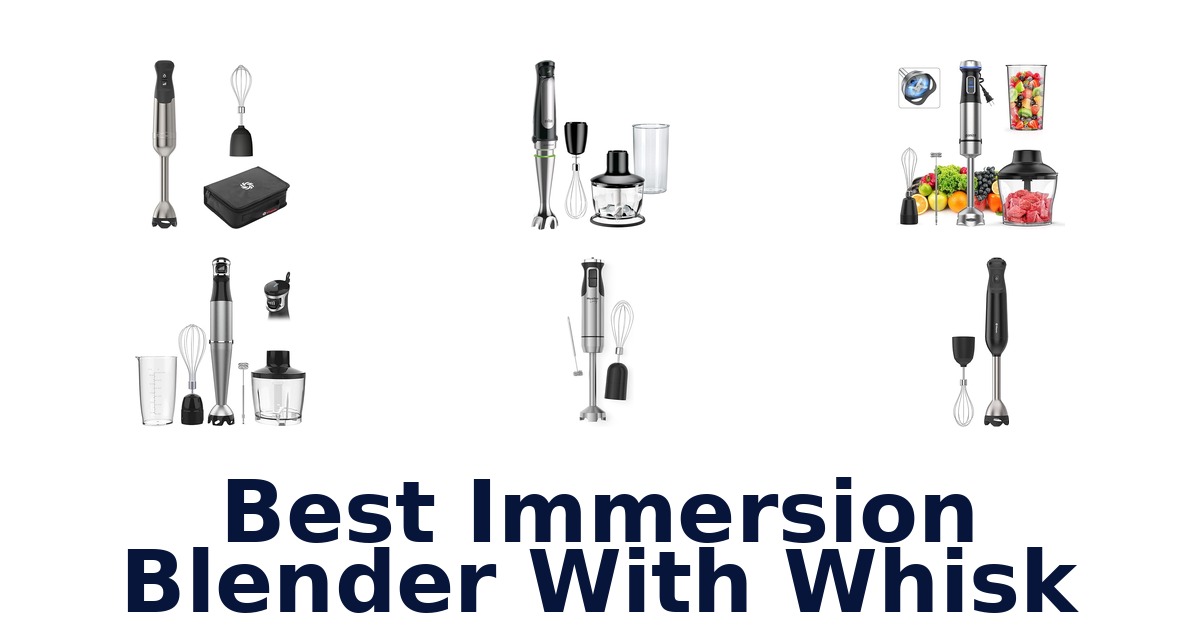 best immersion blender with whisk