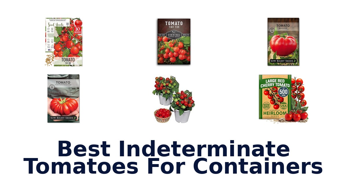 best indeterminate tomatoes for containers