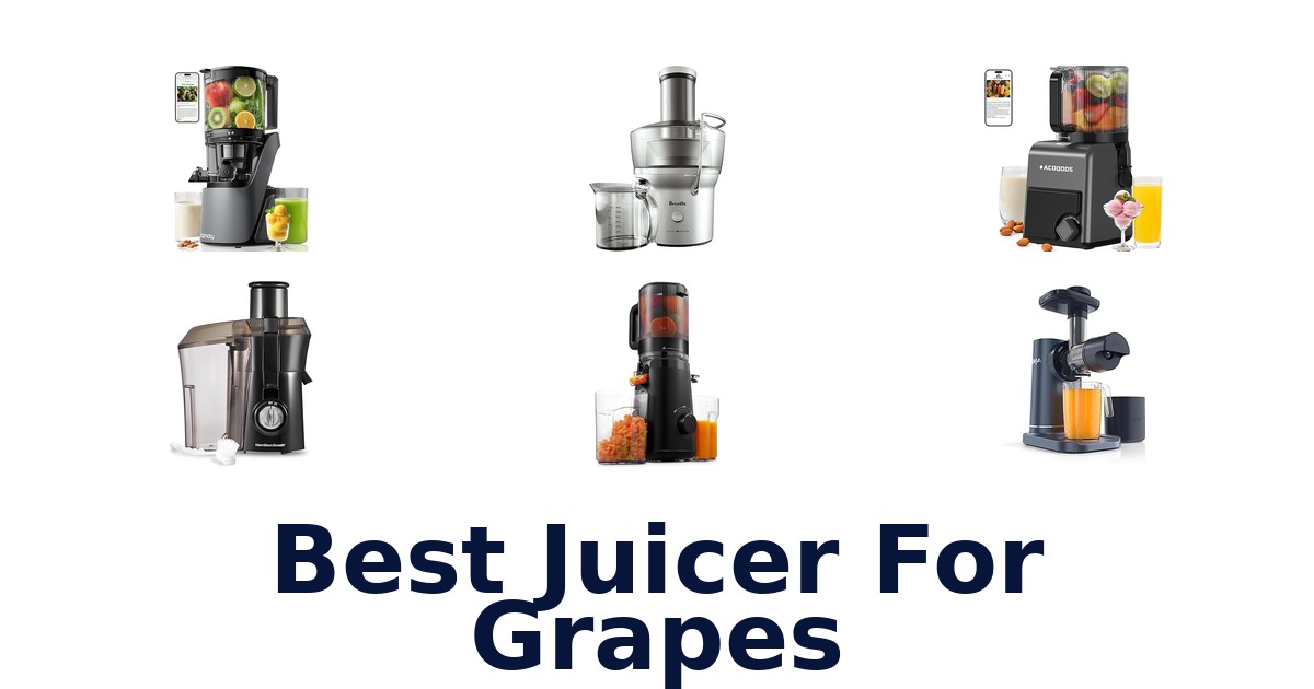 best juicer for grapes