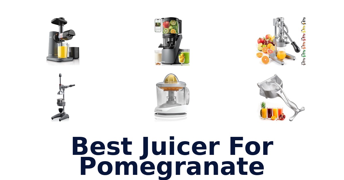 best juicer for pomegranate