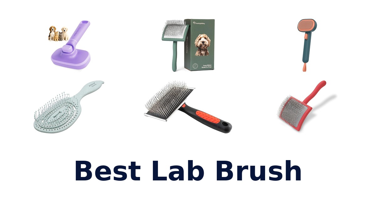 best lab brush