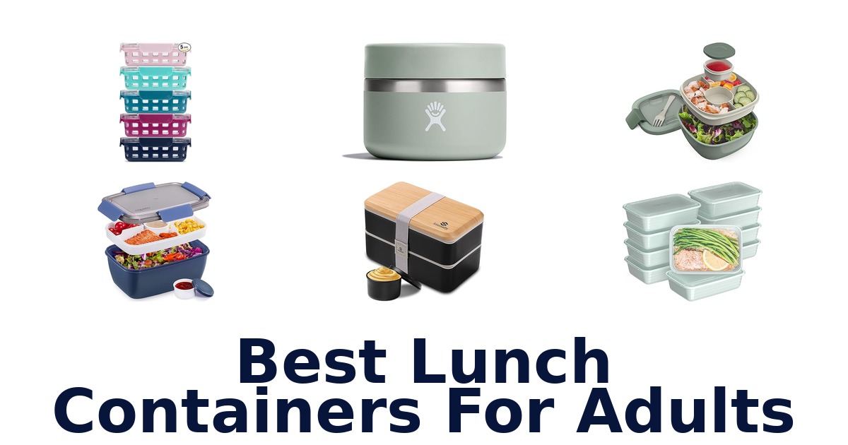 best lunch containers for adults