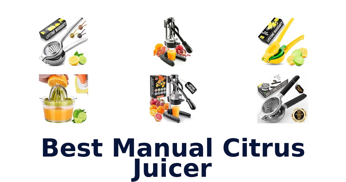 best manual citrus juicer