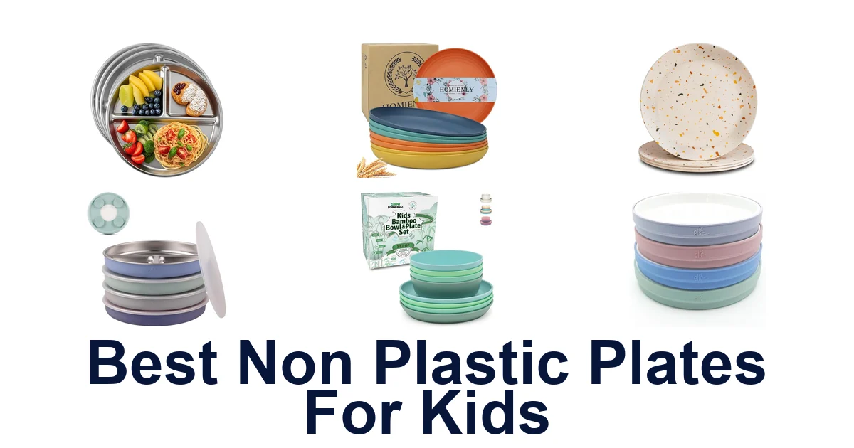 Best Non Plastic Plates for Kids: Top 10 Picks