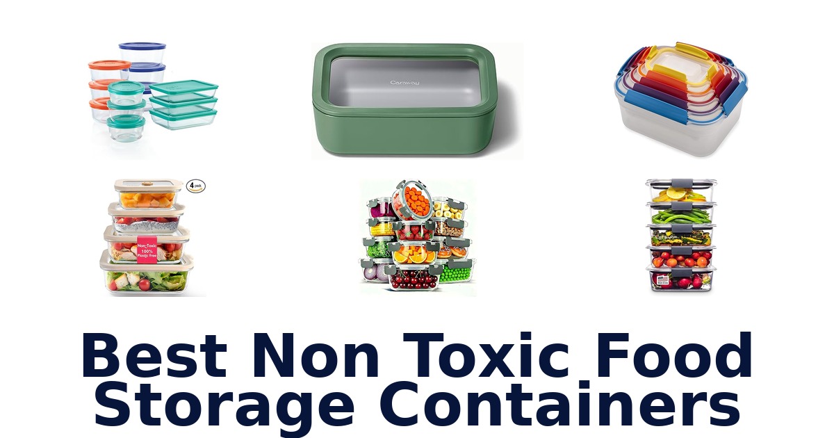 best non toxic food storage containers