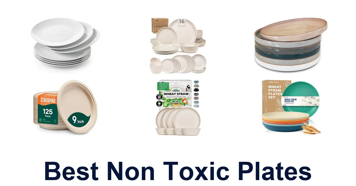 Best Non Toxic Plates: Top 10 Selections