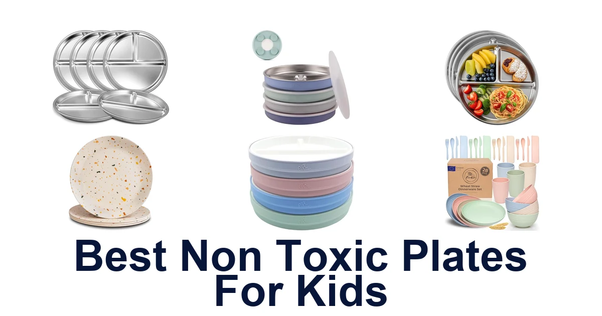 BEST Non Toxic Plates For Kids: Top 10 Picks