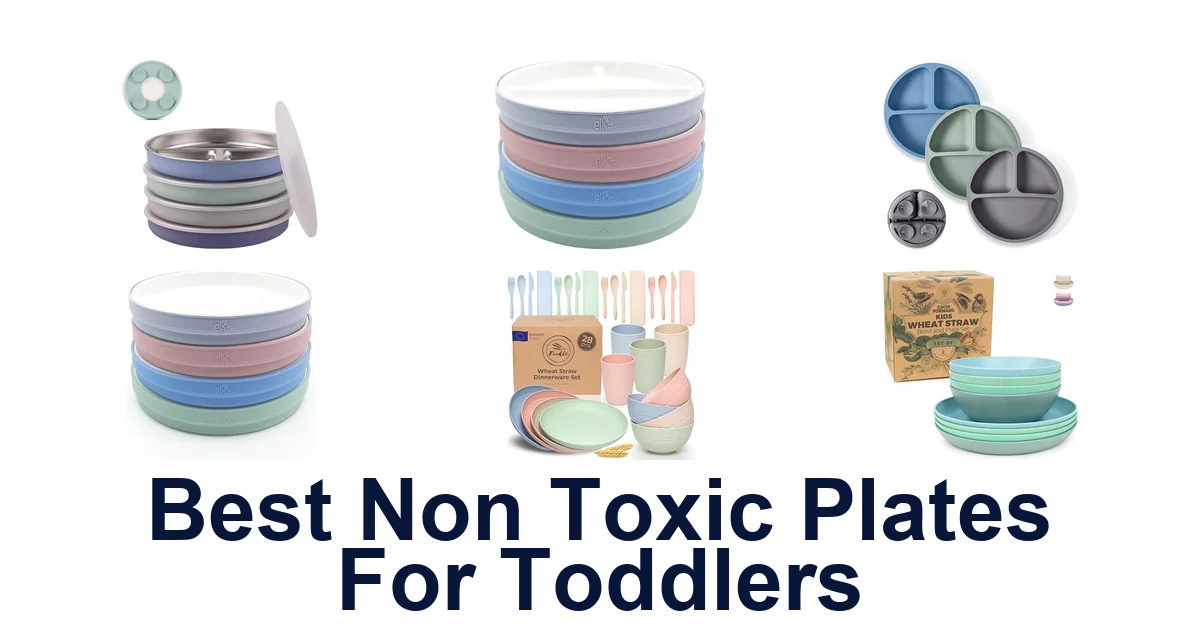 Best Non-Toxic Toddler Plates: Top 10 Picks